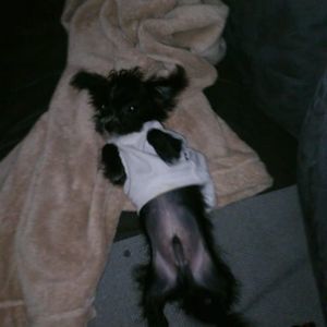 Meet your Posher, Angel